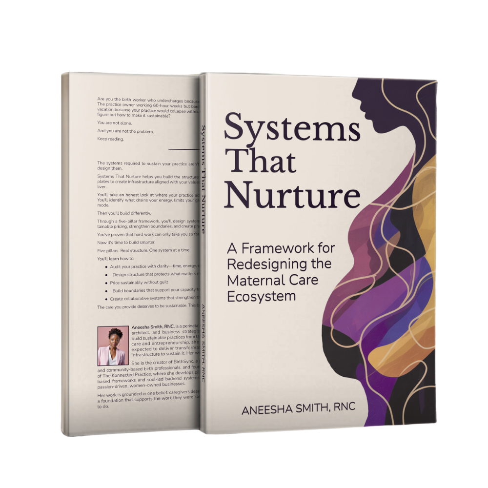 Systems That Nurture Book Cover